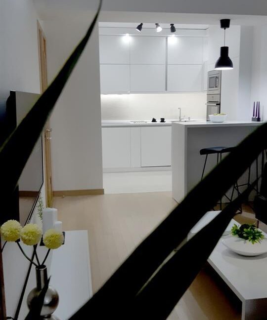 lux-apartmen-for-rent-flatiron-adora (4)