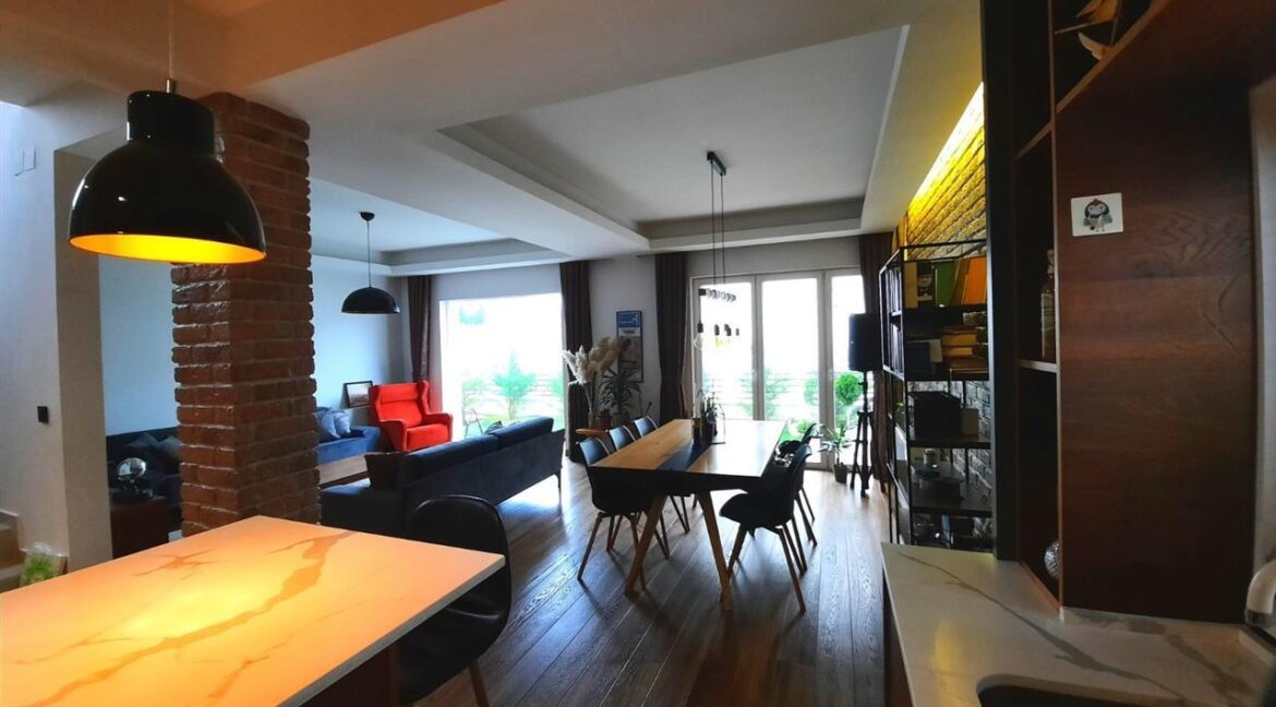 new-and-luxurious-house-for-rent (2)